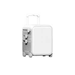 Cap  (Luggie Accessory)