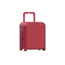 Cap (Luggie Accessory)