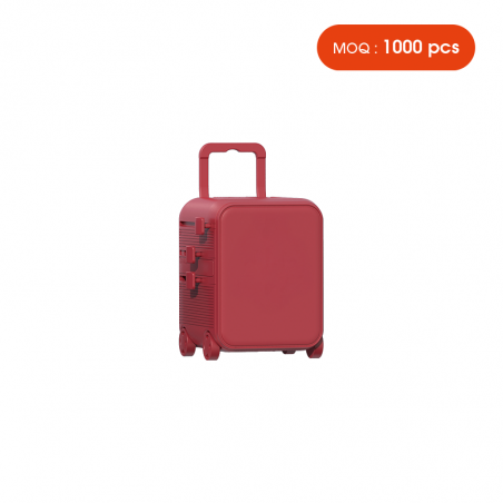 Cap (Luggie Accessory)