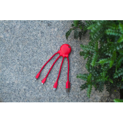 Octopus