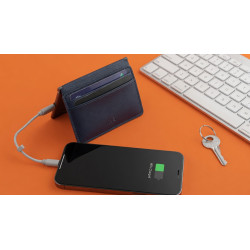 Ine The Wallet