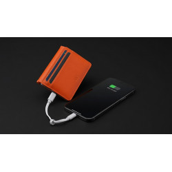 Ine The Wallet