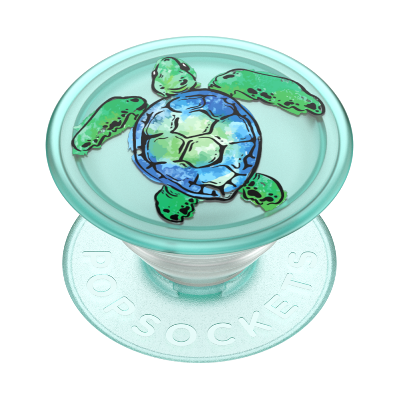 Translucent Tortuga