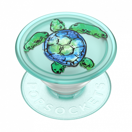 Translucent Tortuga