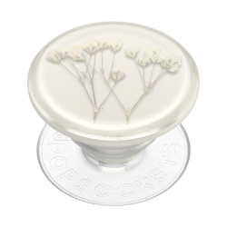 Pressed Flower Baby's Breath