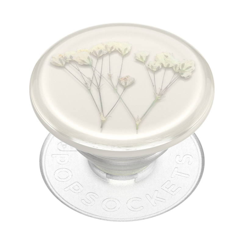 Pressed Flower Baby's Breath