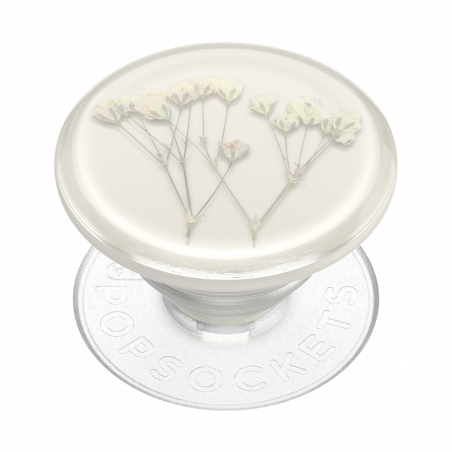 Pressed Flower Baby's Breath