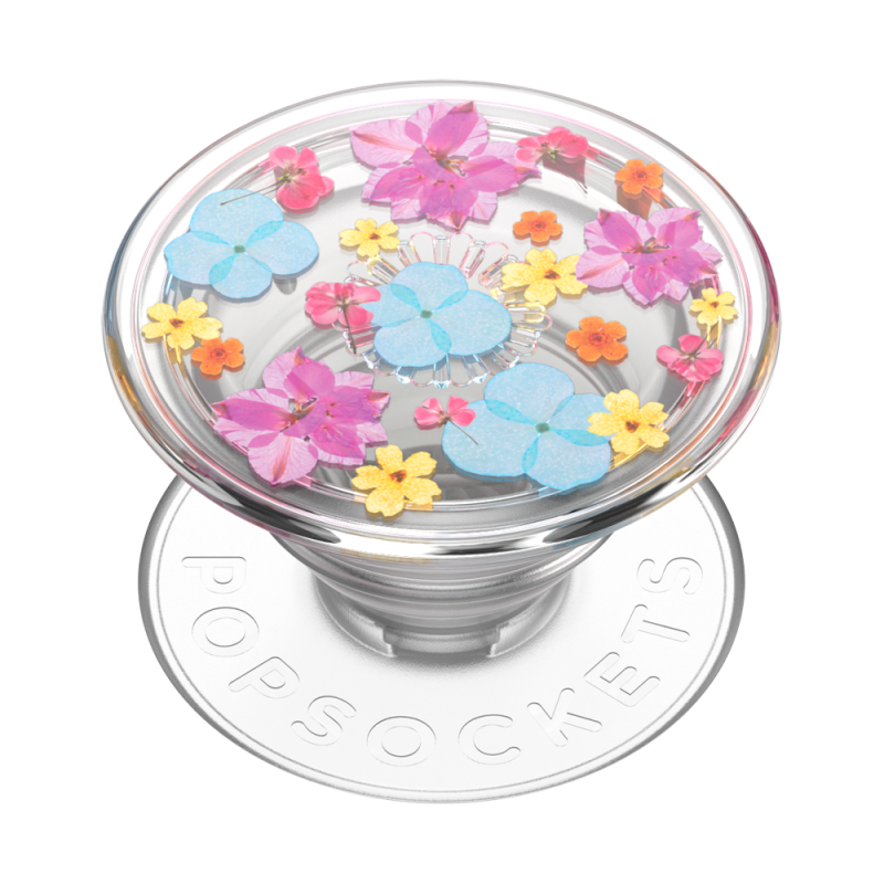 Floral Délicat Transparent