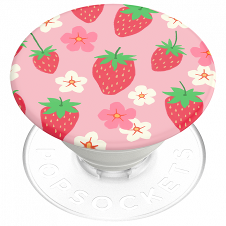 CMB PT PCL-Berry Bloom