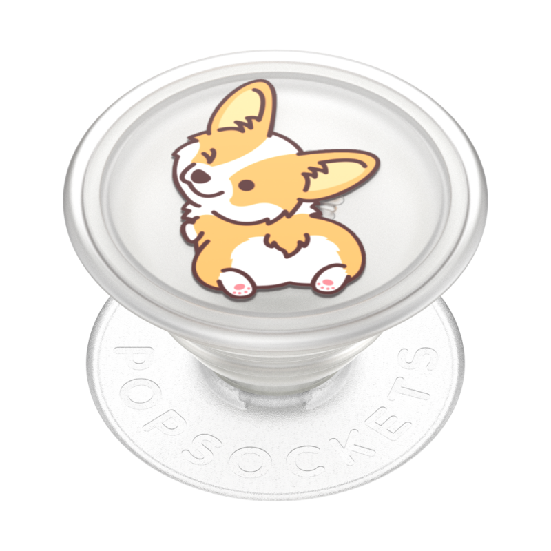 CMB PT PCL-Translucent Cheeky Corgi