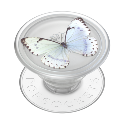 Translucent Whisper Moth